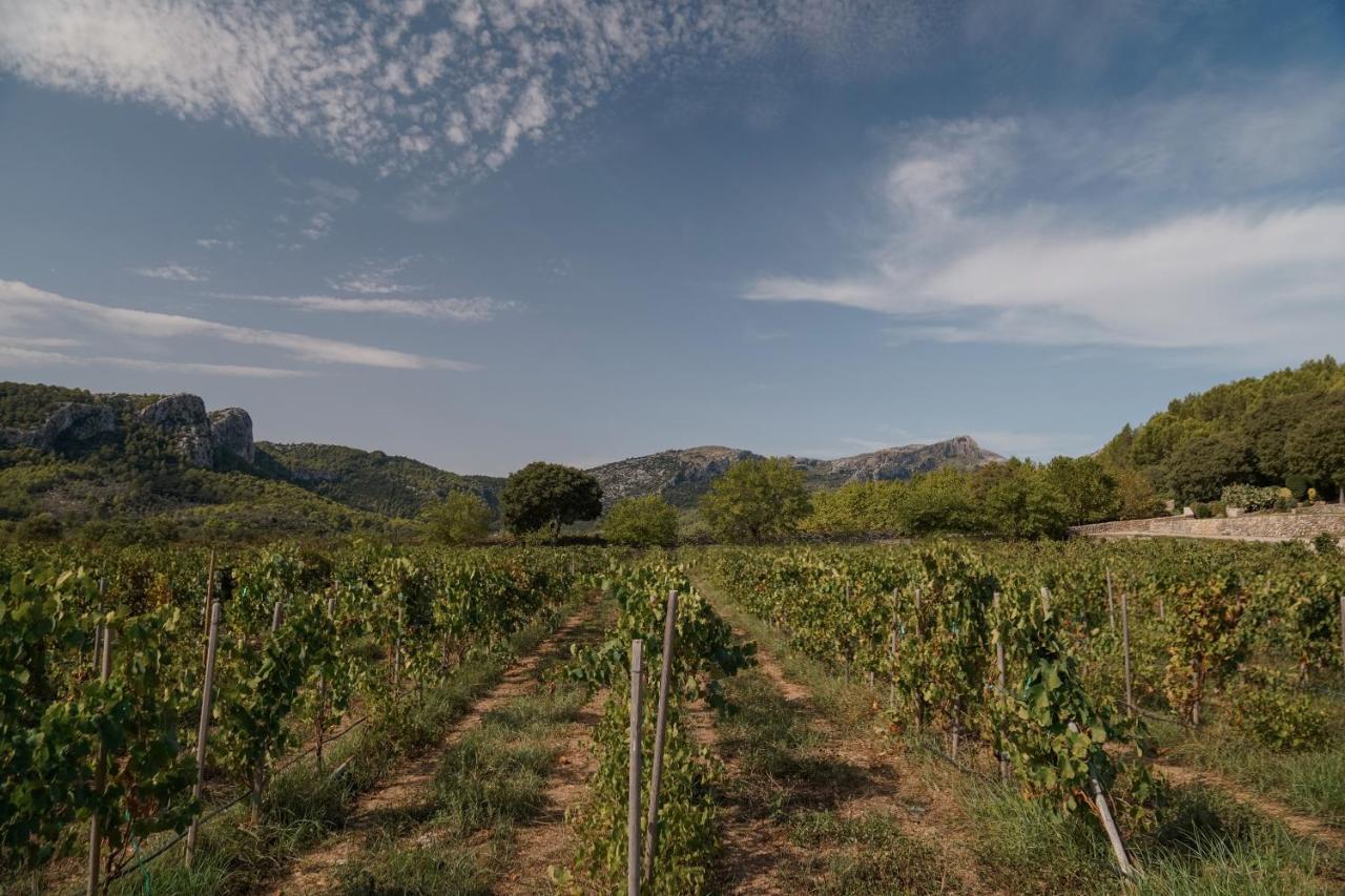 Son Brull & 5* Pollença